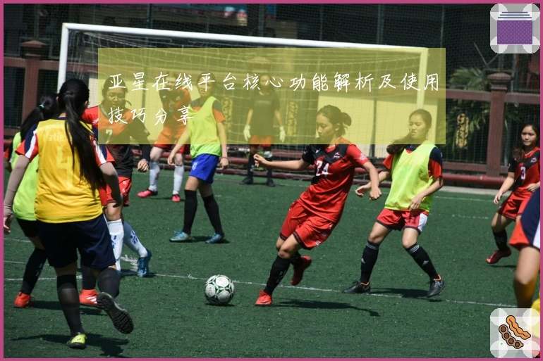 亚星在线平台核心功能解析及使用技巧分享