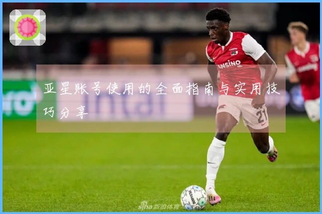 亚星账号使用的全面指南与实用技巧分享